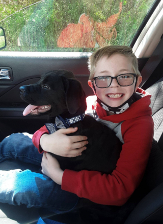 Illustration de l'article : Un petit garçon bienveillant trouve une solution étonnante pour tenter de sauver son chiot très malade