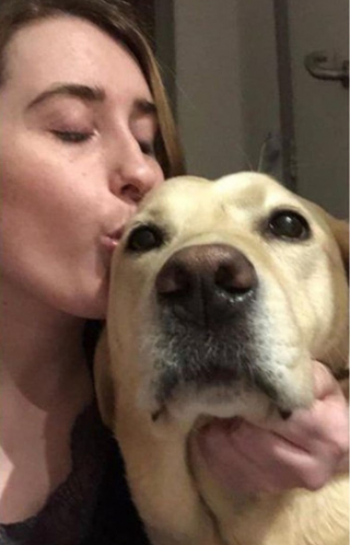 Illustration de l'article : Le retour émouvant d’un chien-guide d’aveugle chez sa propriétaire, après des mois de séparation