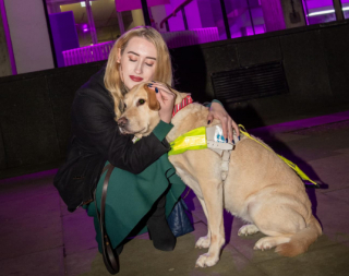 Illustration de l'article : Le retour émouvant d’un chien-guide d’aveugle chez sa propriétaire, après des mois de séparation