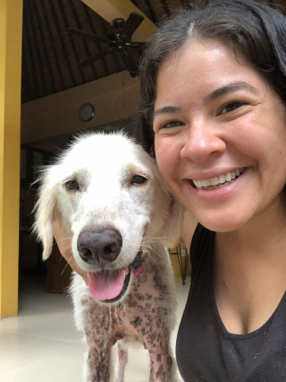 Illustration de l'article : 12 photos illustrant la renaissance de Bobby, chien sauvé de la négligence par de bonnes âmes