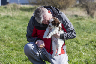 Illustration de l'article : Un chiot découvre un trésor d’une valeur de 6 800 € lors de sa première balade