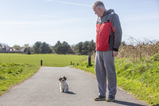 Illustration de l'article : Un chiot découvre un trésor d’une valeur de 6 800 € lors de sa première balade