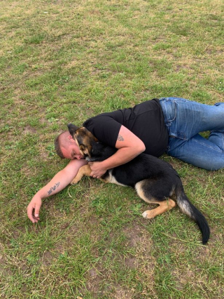 Illustration de l'article : Un propriétaire de chien désespéré paie une rançon en espérant retrouver son animal de compagnie 