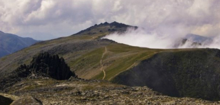 Illustration de l'article : Une organisation spécialisée en recherche et sauvetage avec des drones vient au secours d'un fermier et son chien disparu