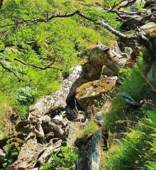 Illustration de l'article : Une organisation spécialisée en recherche et sauvetage avec des drones vient au secours d'un fermier et son chien disparu