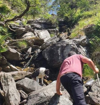 Illustration de l'article : Une organisation spécialisée en recherche et sauvetage avec des drones vient au secours d'un fermier et son chien disparu