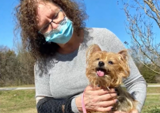 Illustration de l'article : Les retrouvailles émouvantes entre une famille et un Yorkshire Terrier volé 13 ans plus tôt