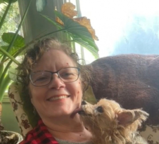 Illustration de l'article : Les retrouvailles émouvantes entre une famille et un Yorkshire Terrier volé 13 ans plus tôt