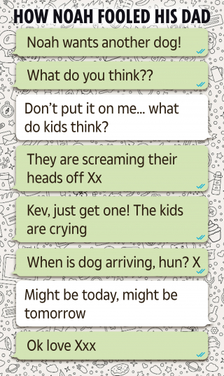 Illustration de l'article : Déterminé à adopter un chiot, cet enfant se fait passer pour sa mère par messages et réussit à convaincre son père