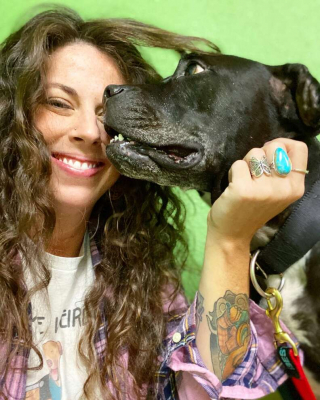 Illustration de l'article : Un chien errant vient demander lui-même de l’aide dans un sanctuaire pour animaux