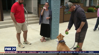 Illustration de l'article : Une femme à qui il ne reste que quelques semaines à vivre cherche un foyer aimant pour prendre soin de sa chienne