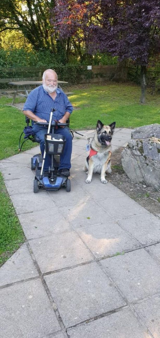 Illustration de l'article : Une chienne d’assistance redonne le sourire à un homme meurtri, qui a dû se séparer de son animal de compagnie (vidéo)