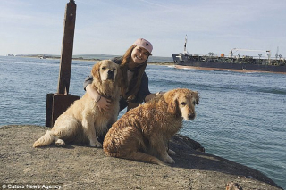 Illustration de l'article : Ce chien possède 2 truffes, mais cela ne fait que le rendre plus mignon aux yeux de sa famille