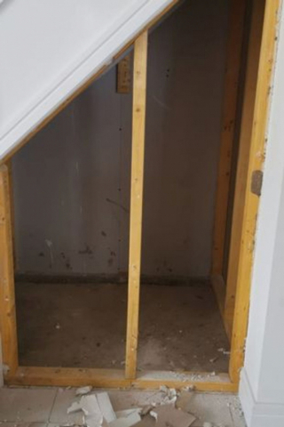 Illustration de l'article : Une jeune femme prépare l’arrivée de son chiot en lui créant une nurserie