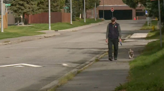 Illustration de l'article : En 8 ans, cet homme a parcouru la distance du tour de la Terre avec son chien, et cela lui a sauvé la vie