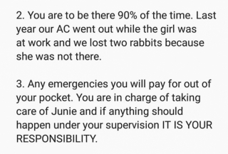 Illustration de l'article : La liste des exigences absurdes de cette propri&eacute;taire de chien fait fuir tous les pet-sitters 