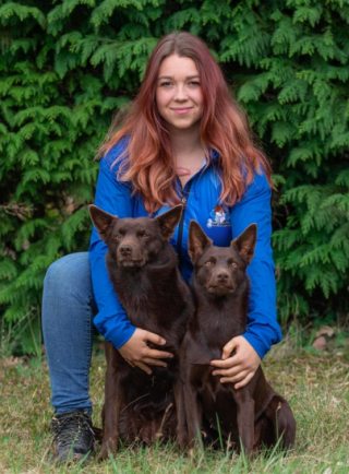 Illustration de l'article : Cani-gourmand propose des friandises 100% naturelles et des accessoires de qualité pour ravir votre chien