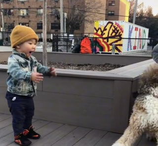 Illustration de l'article : Ce petit garçon est tout excité de rencontrer un chien pour la première fois de sa vie ! (vidéo)