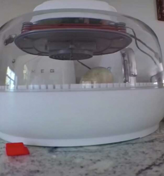 Illustration de l'article : Vidéo : Une chienne trouve un œuf mystérieux dans son jardin, et veille sur lui jusqu’à son éclosion