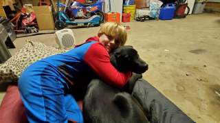 Illustration de l'article : En pleine nuit, un homme trouve un Labrador apeuré sous sa voiture et tente de comprendre ce qu’il lui est arrivé