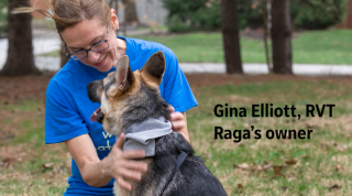 Illustration de l'article : Un chiot né avec 6 pattes, 4 testicules et 2 pénis survit miraculeusement et se fait opérer pour démarrer une nouvelle vie