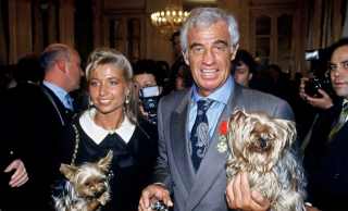 Illustration de l'article : Comme un 6e sens, la chienne du regretté Jean-Paul Belmondo avait pressenti le danger lors d’un tournage (vidéo)