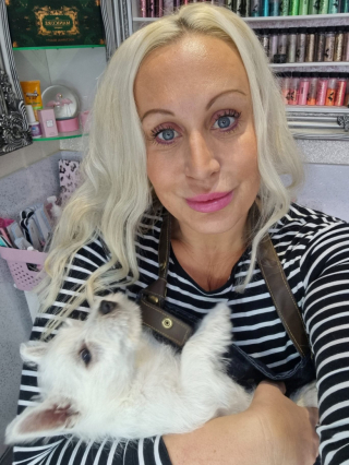 Illustration de l'article : Un formidable élan de générosité permet à une chienne handicapée de marcher à nouveau