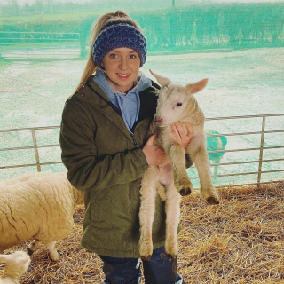 Illustration de l'article : Une chienne prend soin d’un agneau abandonné à la naissance et l’aide à survivre