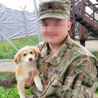 Illustration de l'article : 3 militaires en mission sauvent une portée de 3 chiots et souhaitent les rapatrier pour les adopter