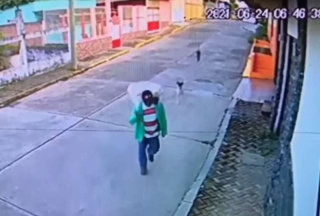 Illustration de l'article : Vidéo : Une caméra de surveillance enregistre un acte de grande bonté d’un homme envers des chiens errants