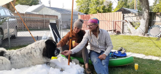 Illustration de l'article : Un couple fait une demande singulière à une patinoire pour offrir un merveilleux cadeau d’adieu à sa chienne