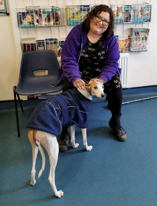 Illustration de l'article : Une maman chien de 12 ans et ses 8 chiots ont été retrouvés malades et souffrant de malnutrition 