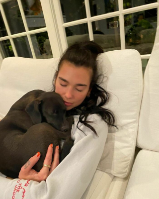 Illustration de l'article : 20 photos sublimes de célébrités posant en compagnie de leurs chiens