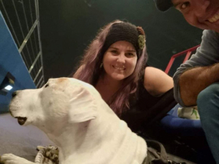 Illustration de l'article : D’appât pour les combats canins à chien d’assistance, l’histoire de Falkor est un véritable message d’espoir