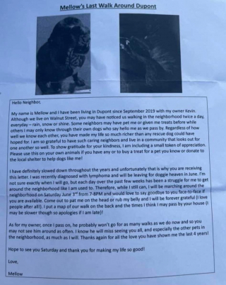 Illustration de l'article : Mellow, le chien atteint d’un lymphome en phase terminale, a reçu un hommage des plus touchant de la part de ses voisins