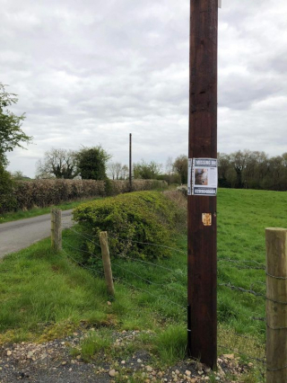 Illustration de l'article : Un Golden Retriever parcourt des kilomètres pour rentrer chez lui