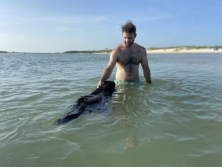 Illustration de l'article : 20 photos racontant la magnifique journée à la plage passée par 2 chiennes rescapées