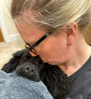 Illustration de l'article : Un Cocker Spaniel disparaît pendant 8 mois, pour réapparaître mystérieusement sur le siège avant d’une ambulance