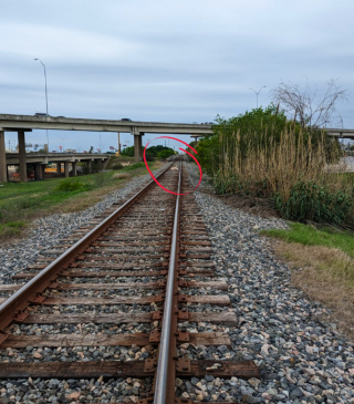 Illustration de l'article : La course contre la montre pour libérer Lucky, un Labrador Retriever pris au piège sur une voie ferrée