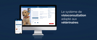 Illustration de l'article : Gardez l'esprit tranquille en vacances grâce à cette solution de téléconseil vétérinaire pour votre chien