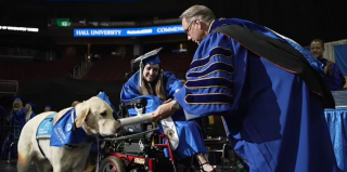 Illustration de l'article : Un chien d’assistance reçoit son diplôme pour avoir suivi tous les cours à l’université de son propriétaire