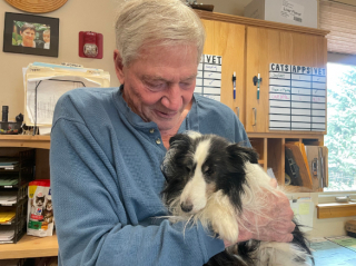 Illustration de l'article : Riley, un Berger des Shetland, a disparu sans laisser de traces pendant plus de 5 semaines