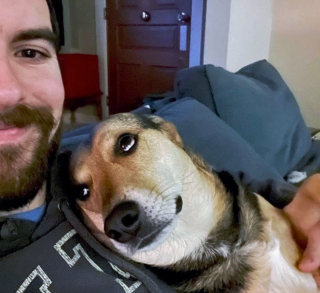 Illustration de l'article : 13 chiens totalement accros à leurs propriétaire et prêts à les suivre absolument partout