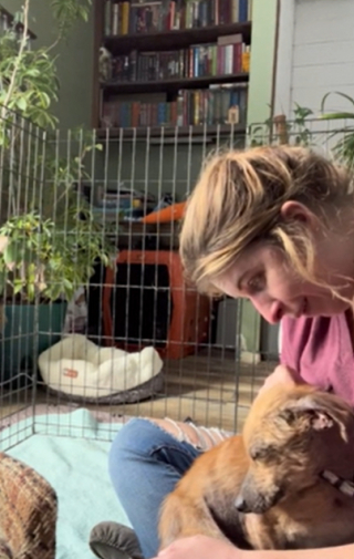 Illustration de l'article : En manque d’amour, ce chien de sauvetage saute dans les bras de sa sauveuse