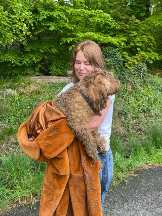 Illustration de l'article : Le parcours du combattant pour sauver Bear, un Cavapoo coincé dans un terrier de renard