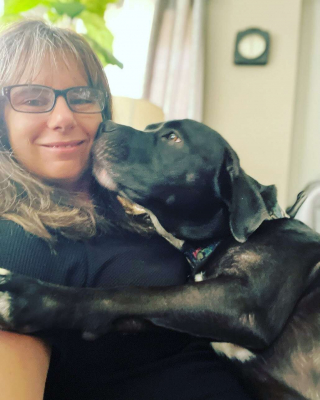 Illustration de l'article : Les retrouvailles attendrissantes de Vardis, le chien de sauvetage, avec sa sœur perdue depuis longtemps