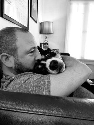 Illustration de l'article : 20 chiens photographiés dans des moments qu'ils aimeraient oublier le plus vite possible
