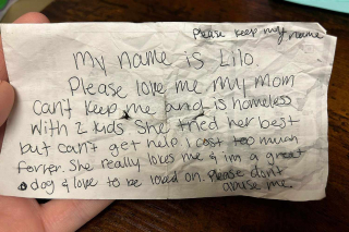 Illustration de l'article : La touchante histoire de Lilo, la chienne abandonnée par une mère de famille sans-abri