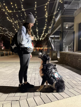 Illustration de l'article : Ce chien d’assistance désobéit à sa maîtresse pour lui sauver la vie