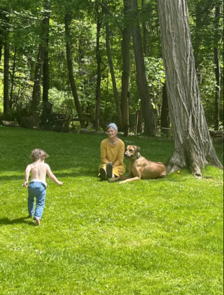 Illustration de l'article : 20 photos mettant à l'honneur le Rhodesian Ridgeback, chien à la loyauté et à la douceur inégalées